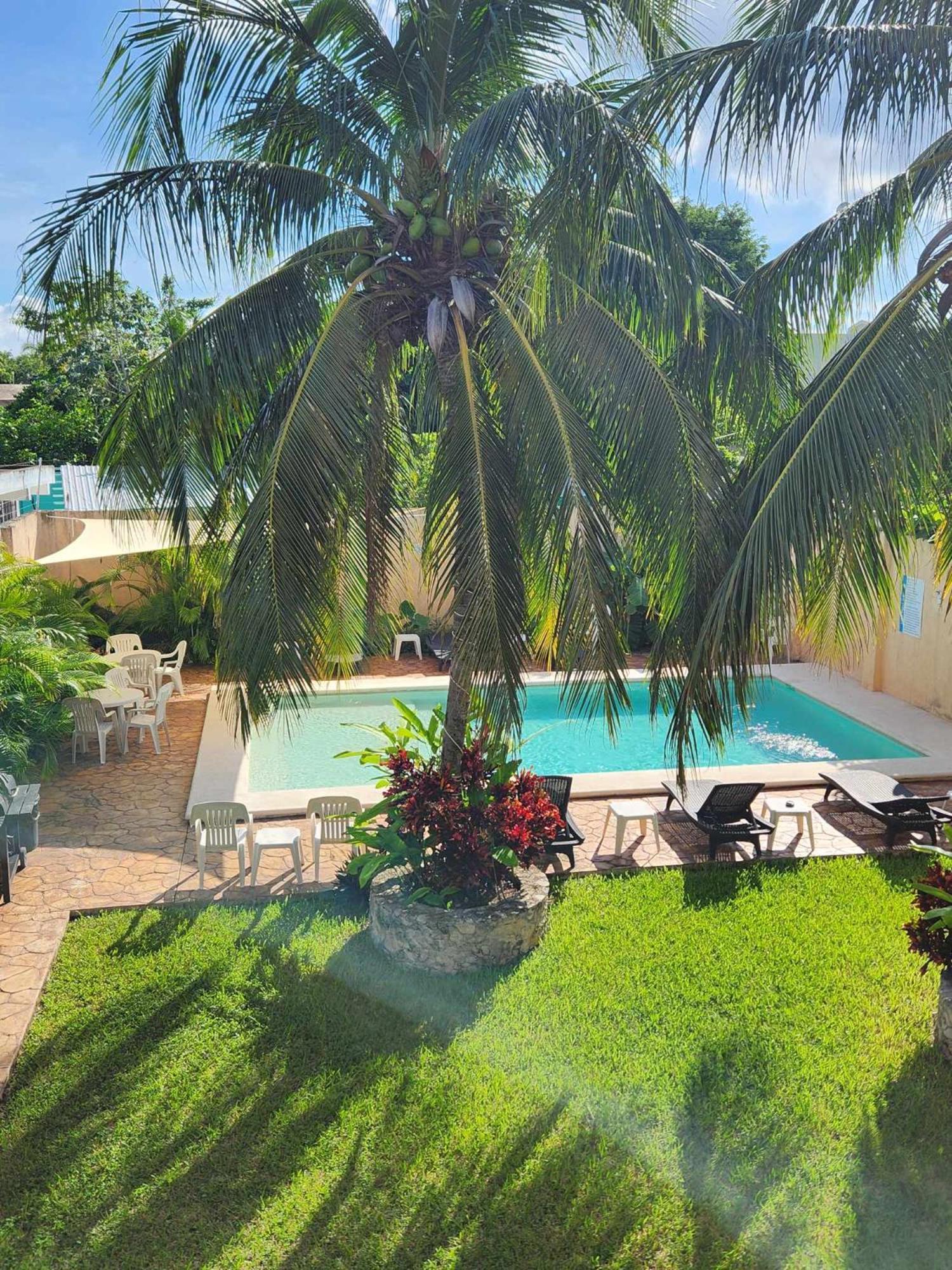 Coral Island Suites Cozumel Kültér fotó